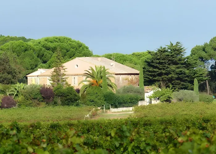Domaine De Saint Jean Nocleg ze śniadaniem 3*